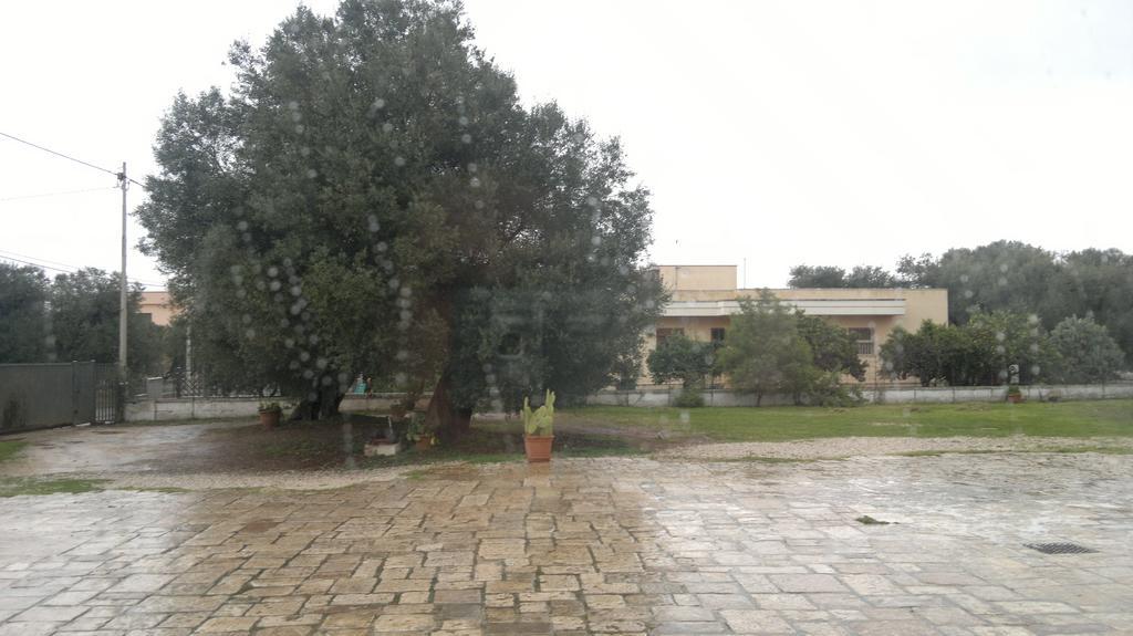 Masseria Donna Licia 佩兹迪格雷科 外观 照片
